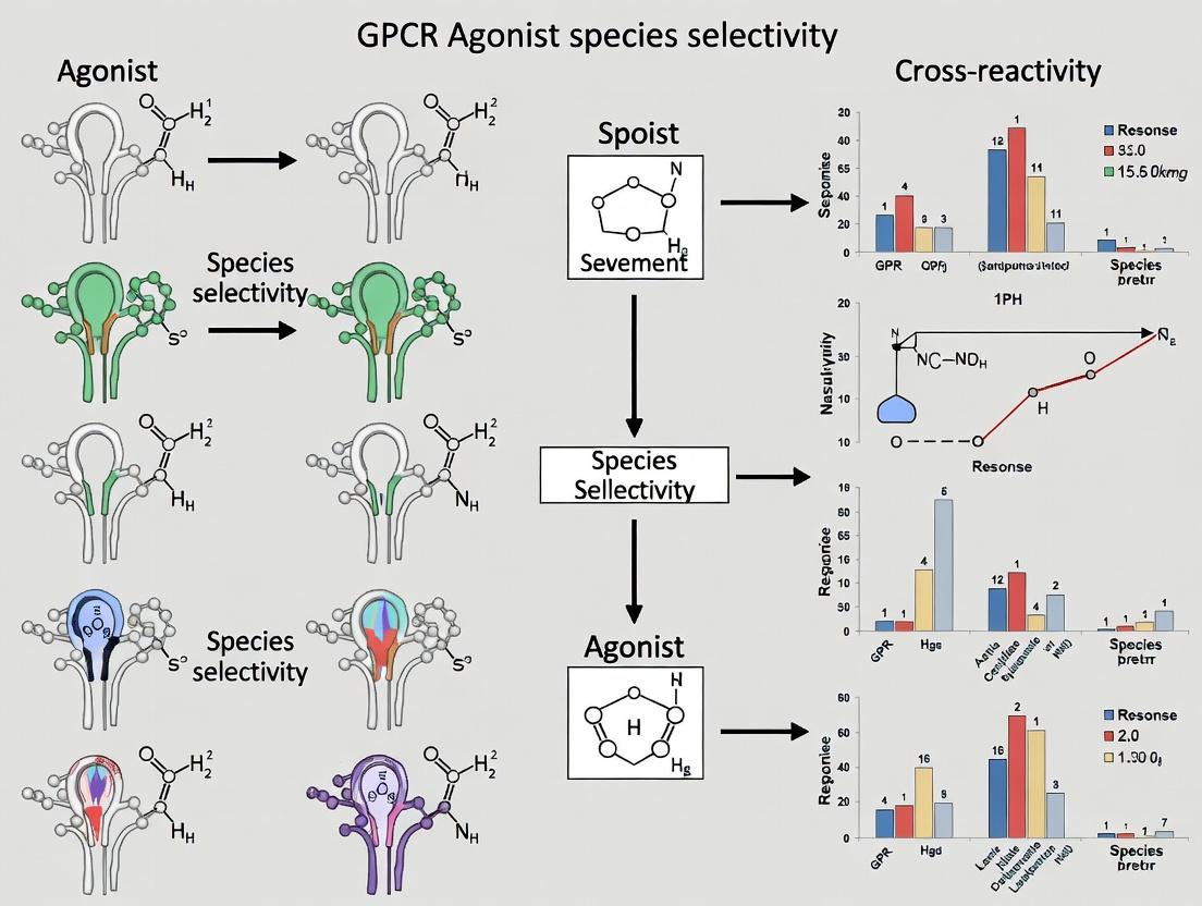 Navigating GPCR Agonist Species Selectivity: From Molecular Mechanisms to Predictive Drug Development