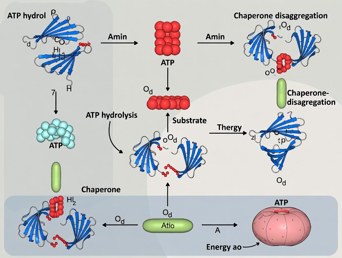 ATP Hydrolysis as the Engine of Chaperone Disaggregation: Mechanisms, Methods, and Medical Implications