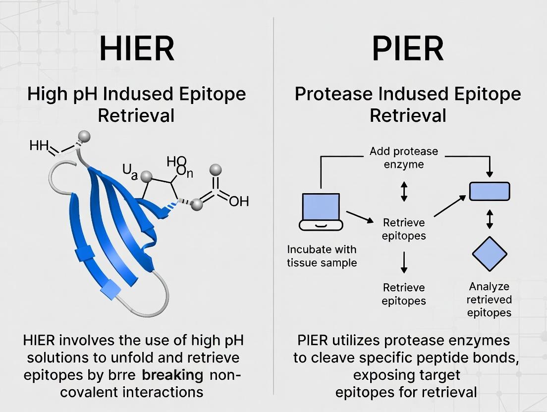 HIER vs PIER for IHC: A Comprehensive Guide for Researchers on Antigen Retrieval Methods
