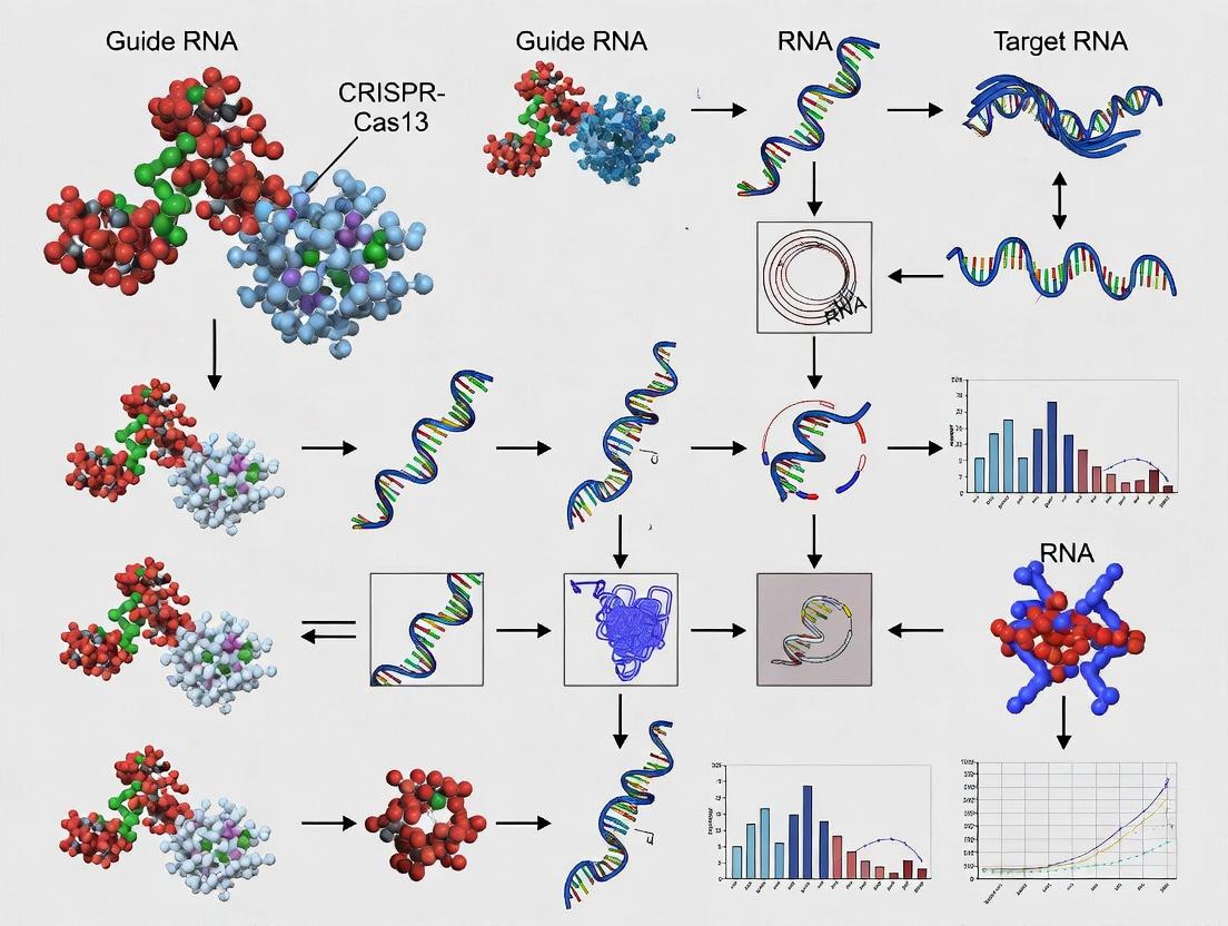CRISPR-Cas13: The Programmable RNA Editing Toolkit Revolutionizing Therapeutic Development