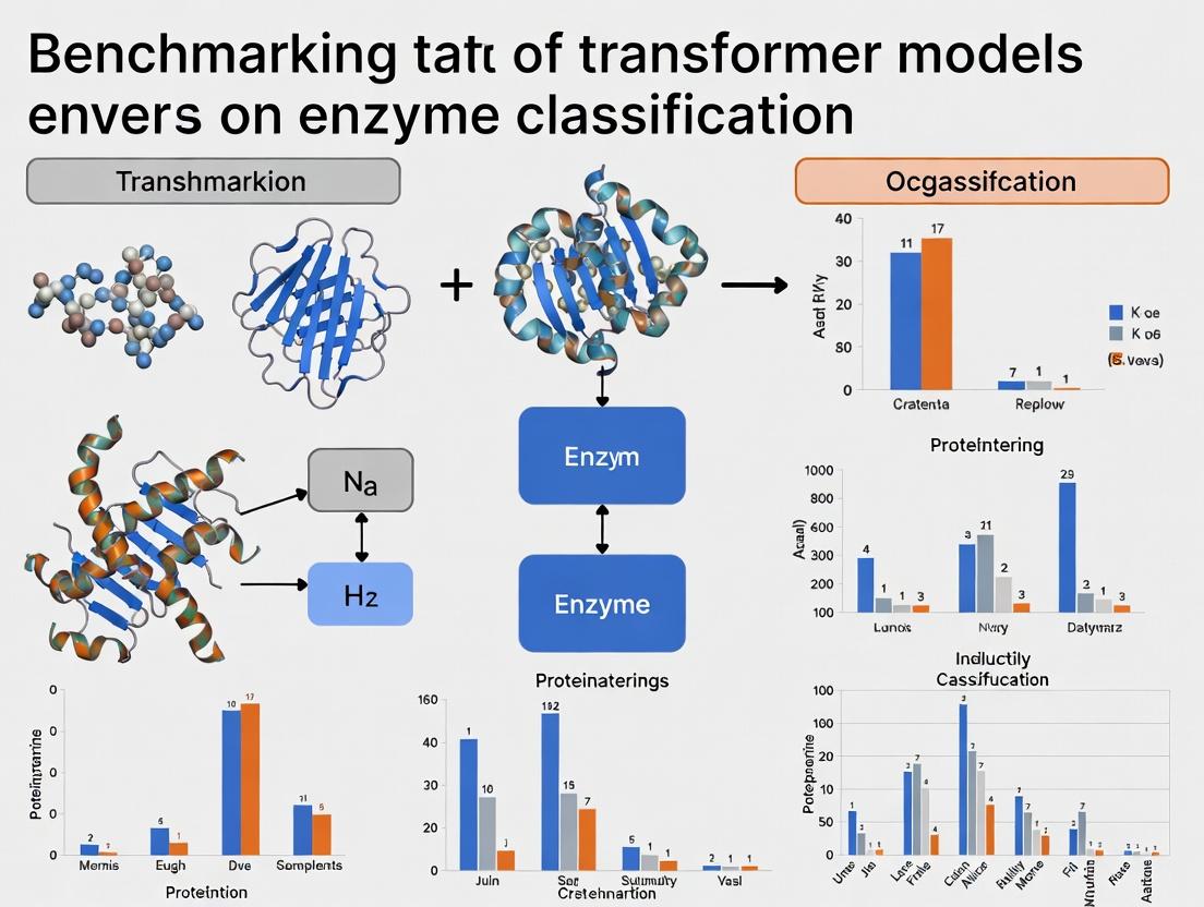 Benchmarking Transformer Models for Enzyme Classification: A Comprehensive Guide for Biomedical AI Research