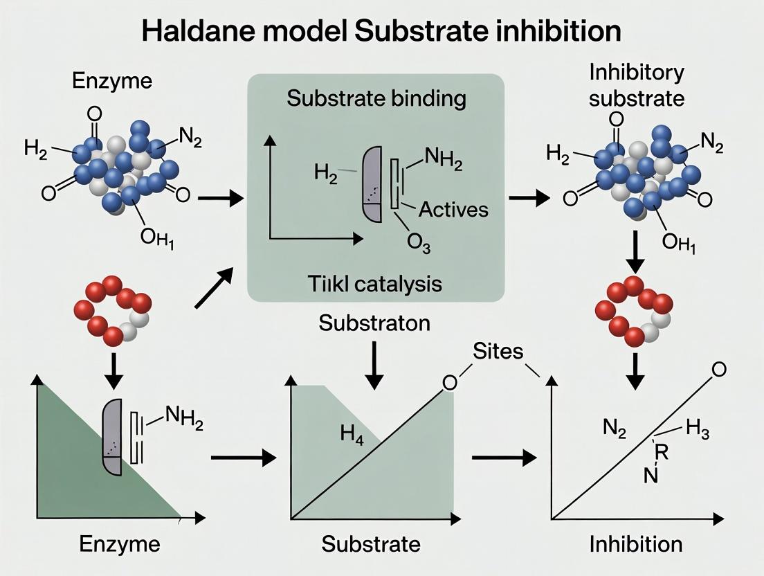 The Haldane Model Explained: Decoding Substrate Inhibition in Enzyme Kinetics and Drug Discovery