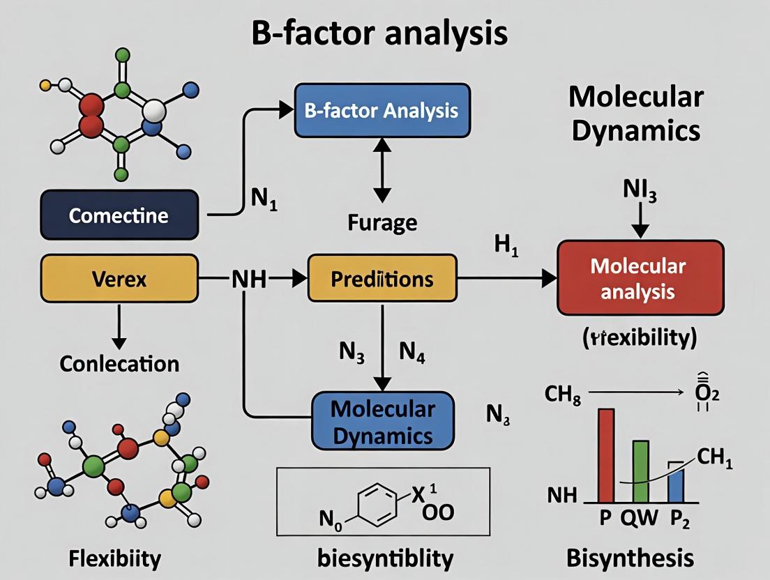 B-Factor Analysis vs Molecular Dynamics: Choosing the Right Tool for Protein Flexibility in Drug Discovery