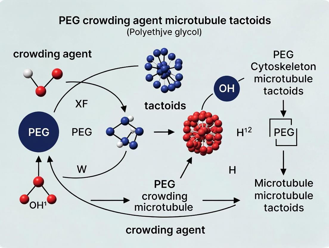 PEG Crowding Agents in Microtubule Tactoid Formation: Mechanisms, Protocols, and Biomedical Applications