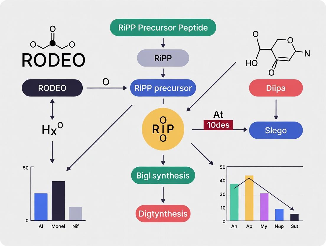 RODEO Algorithm: A Complete Guide for Accelerated RiPP Biosynthetic Gene Cluster Discovery