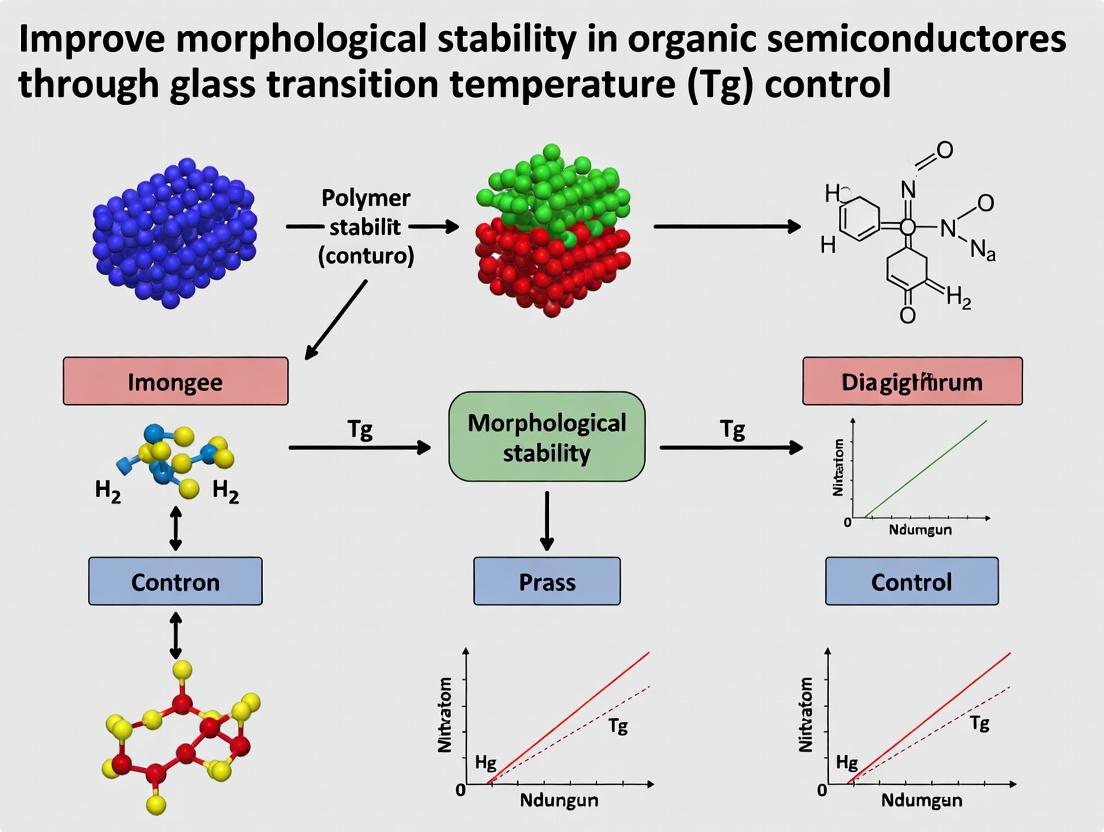 Glass Transition Temperature (Tg) as a Key Design Parameter: Mastering Morphological Stability in Organic Semiconductors