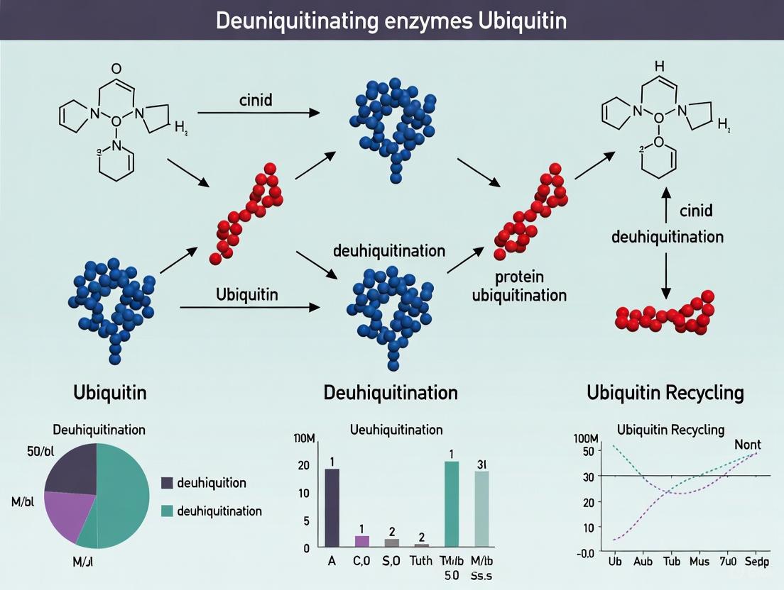 Deubiquitinating Enzymes: Gatekeepers of Ubiquitin Homeostasis in Health and Disease