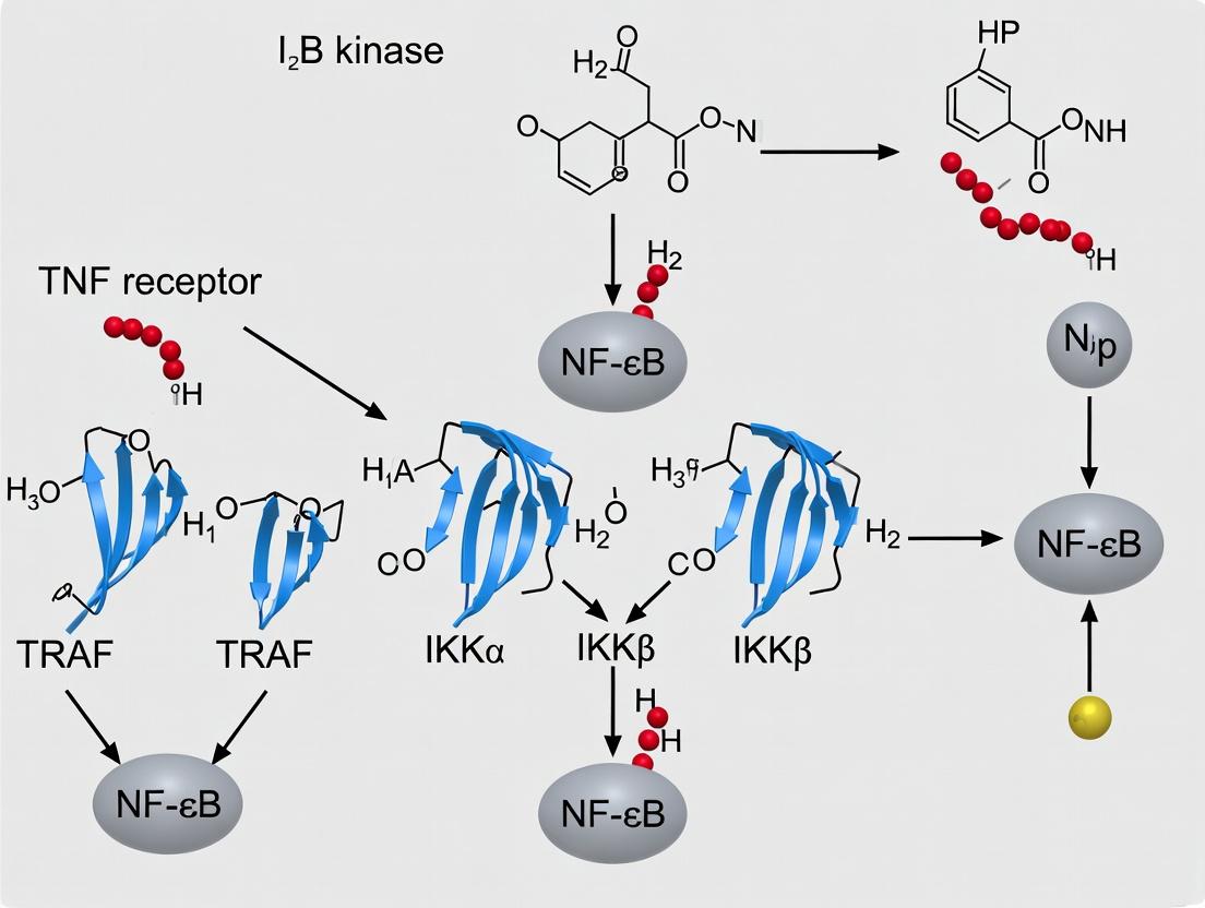 Unlocking Inflammation: The Critical Role of IKK Complex Activation in NF-κB Signaling and Therapeutic Targeting