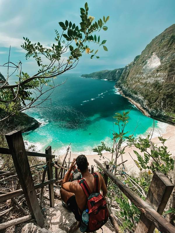 The Invisible Threat: How Modern Ecotoxicology Deciphers Nature's Silent Distress Signals