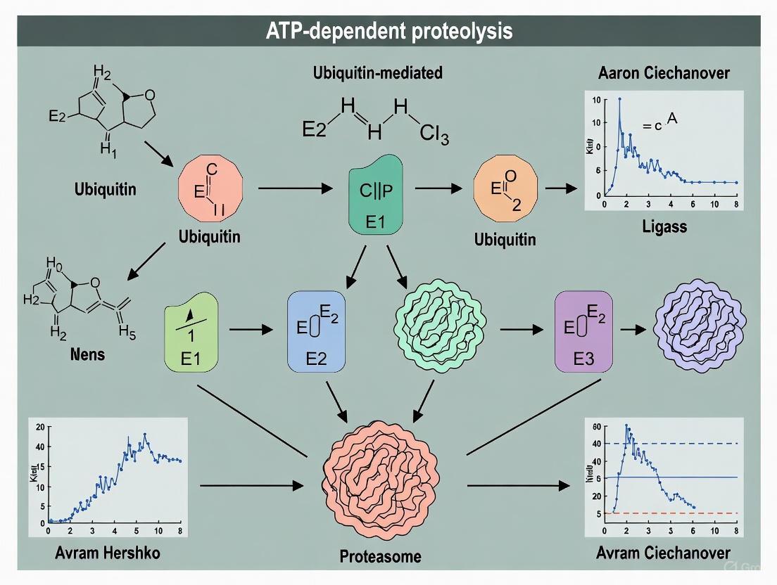 Ubiquitin and ATP-Dependent Proteolysis: From Nobel Discovery to Targeted Protein Degradation Therapeutics