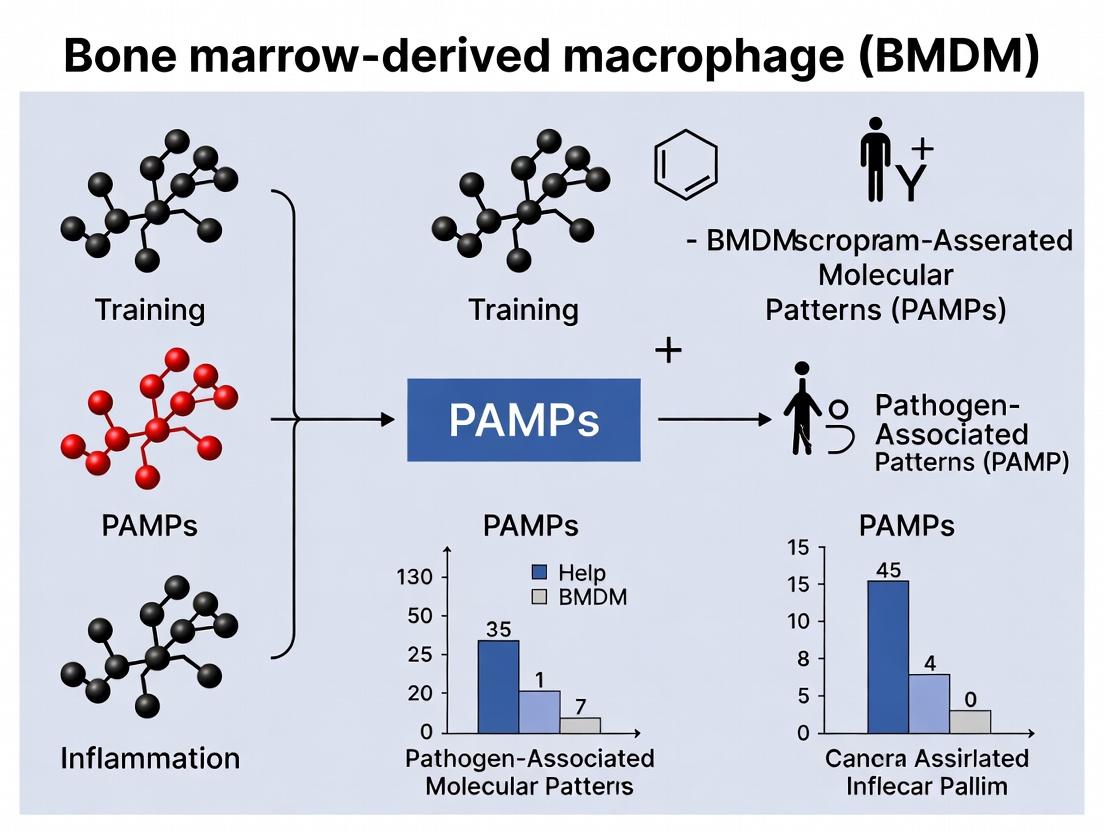 BMDM Training with PAMPs: A Comprehensive Protocol for Innate Immune Memory Research and Drug Discovery