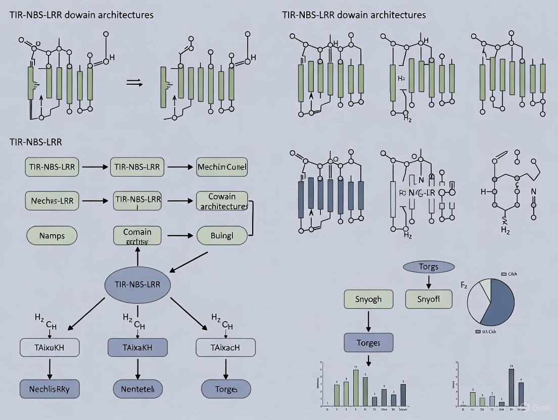 TIR-NBS-LRR Domain Architectures: Evolutionary Patterns, Computational Identification, and Functional Validation in Plant Immunity