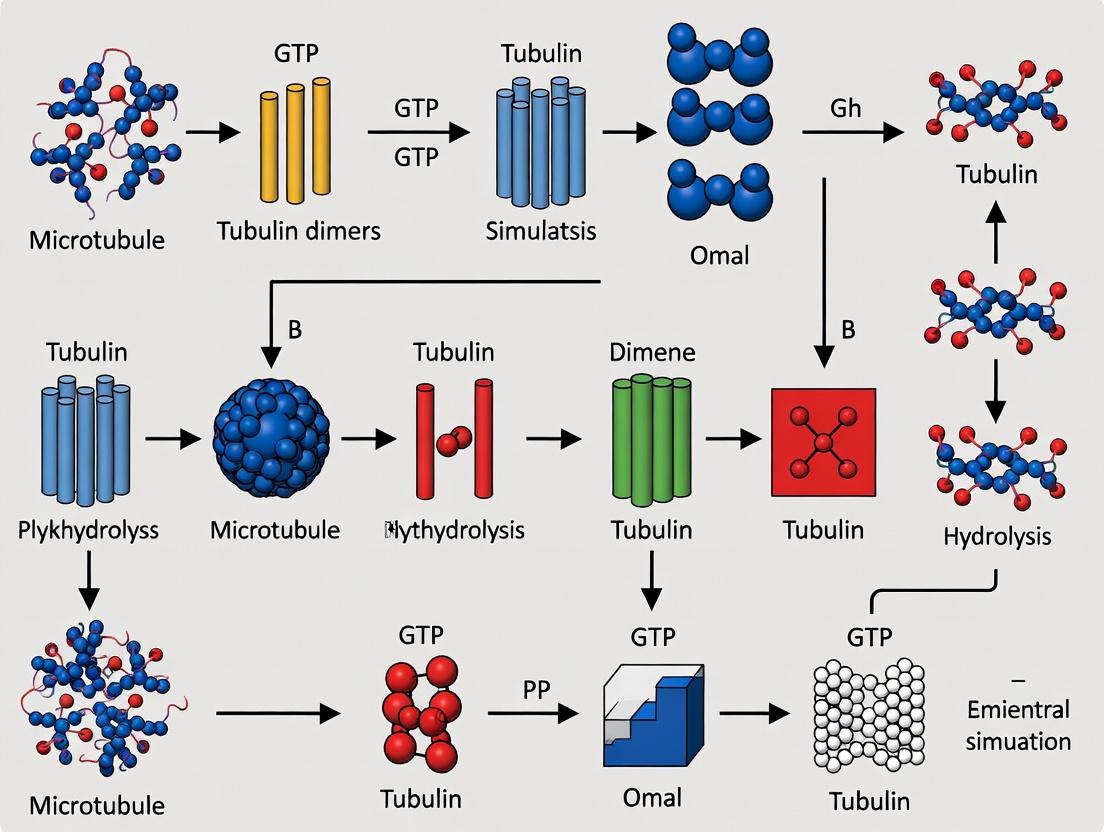 Martini Coarse-Grained Microtubule Simulations: A Complete Guide for Computational Biologists and Drug Discovery