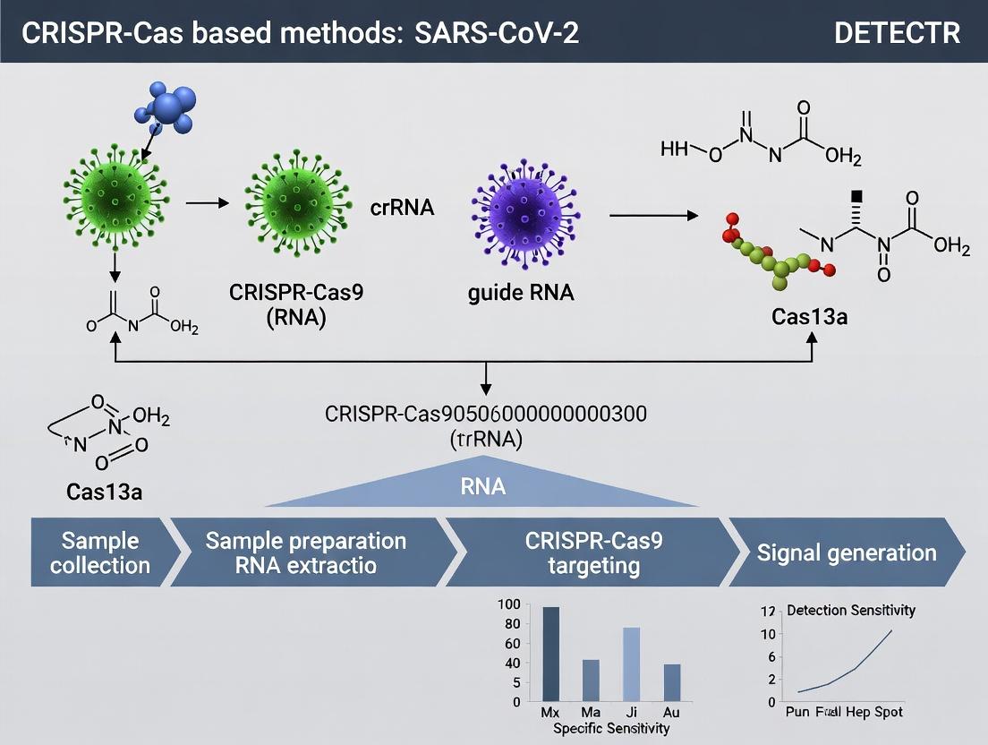 DETECTR: A Comprehensive Guide to CRISPR-Cas SARS-CoV-2 Diagnostics for Research and Development