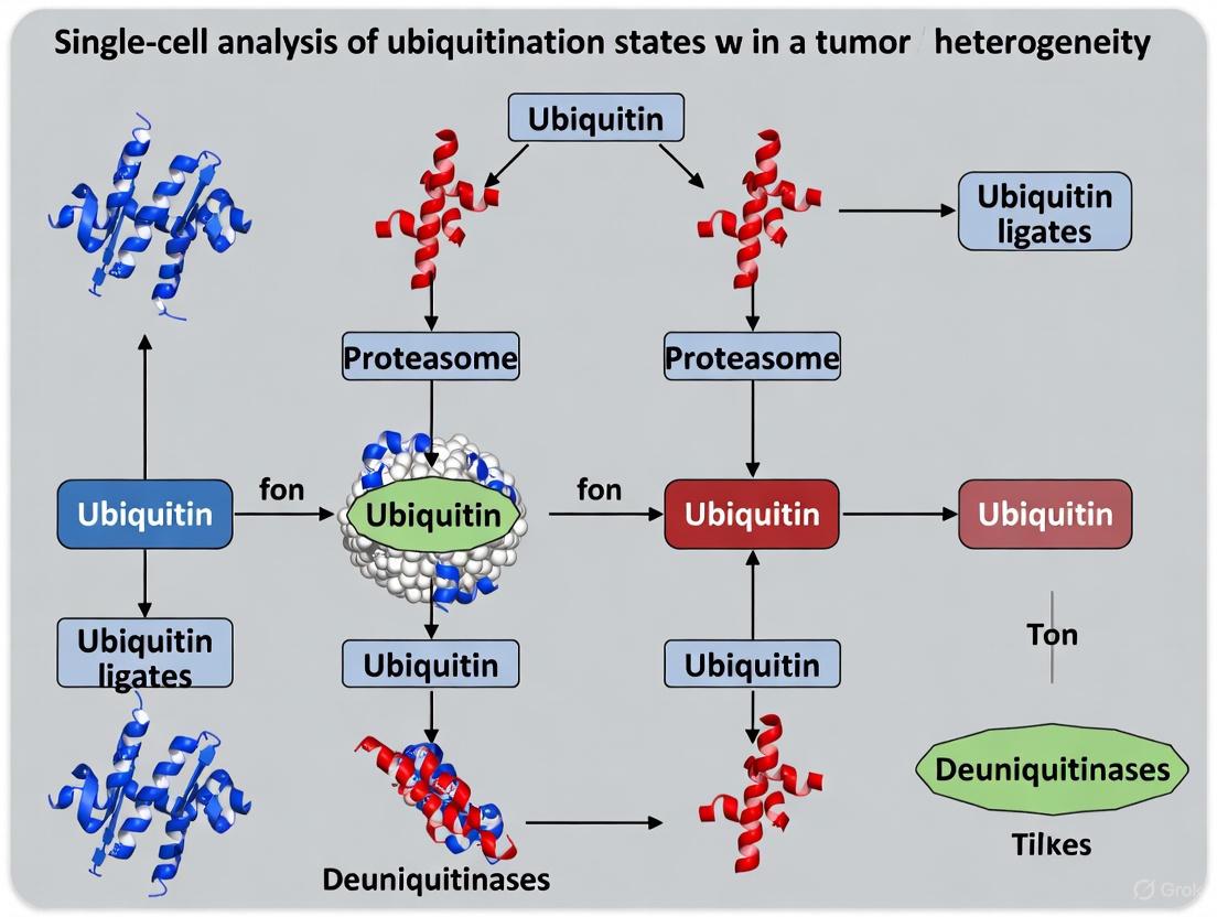 Decoding Tumor Heterogeneity through Single-Cell Ubiquitination Analysis: Mechanisms, Methods, and Therapeutic Translation