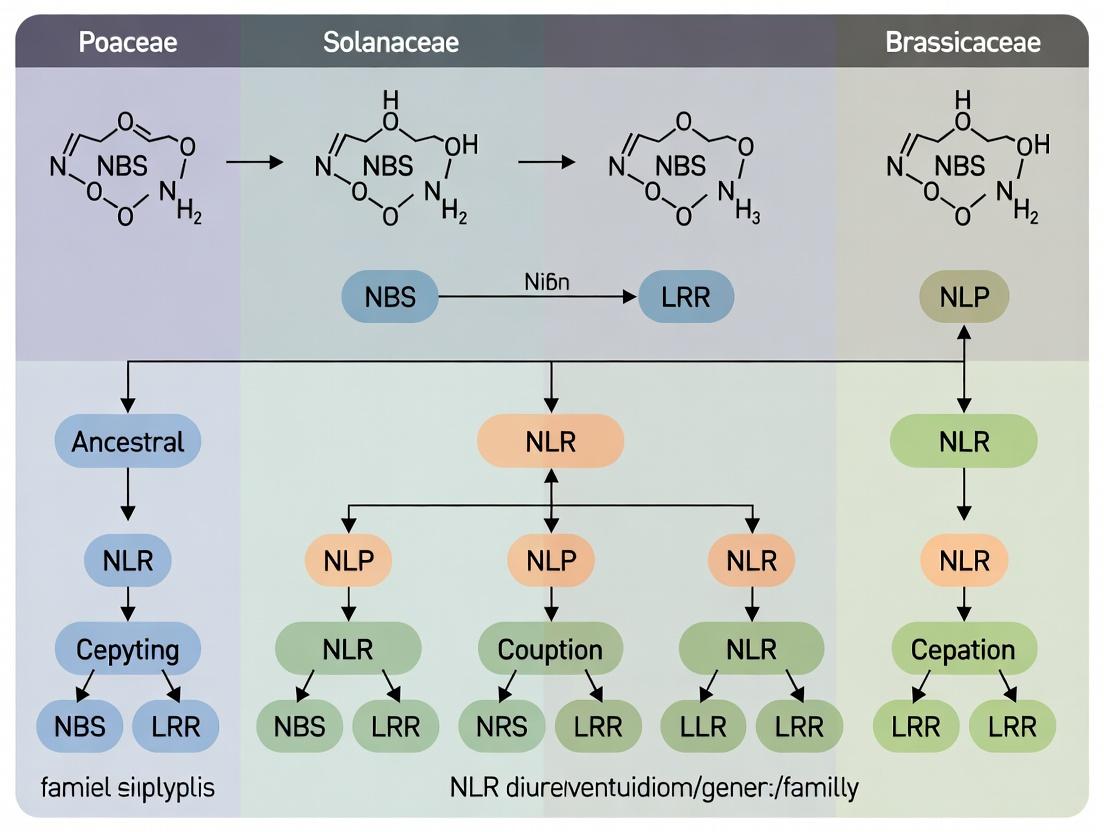 Evolutionary Dynamics of NLR Genes: Conservation Mechanisms and Family-Specific Diversification in Plant Immunity