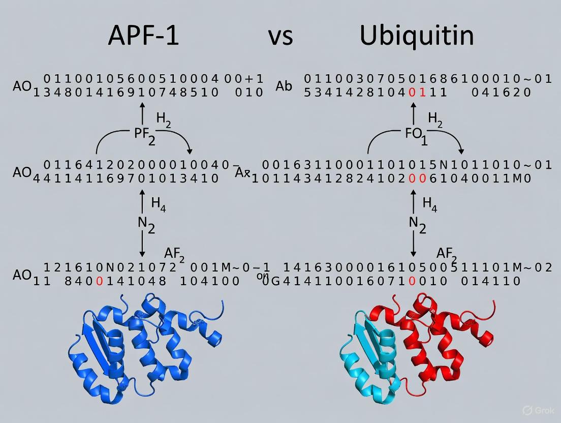 APF-1 to Ubiquitin: Decoding the Seminal Discovery that Launched the Ubiquitin-Proteasome System