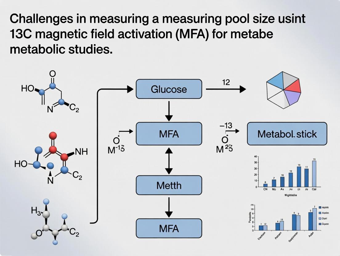 Navigating 13C MFA Metabolite Pool Size Challenges: A Guide for Systems Biology & Drug Discovery Researchers