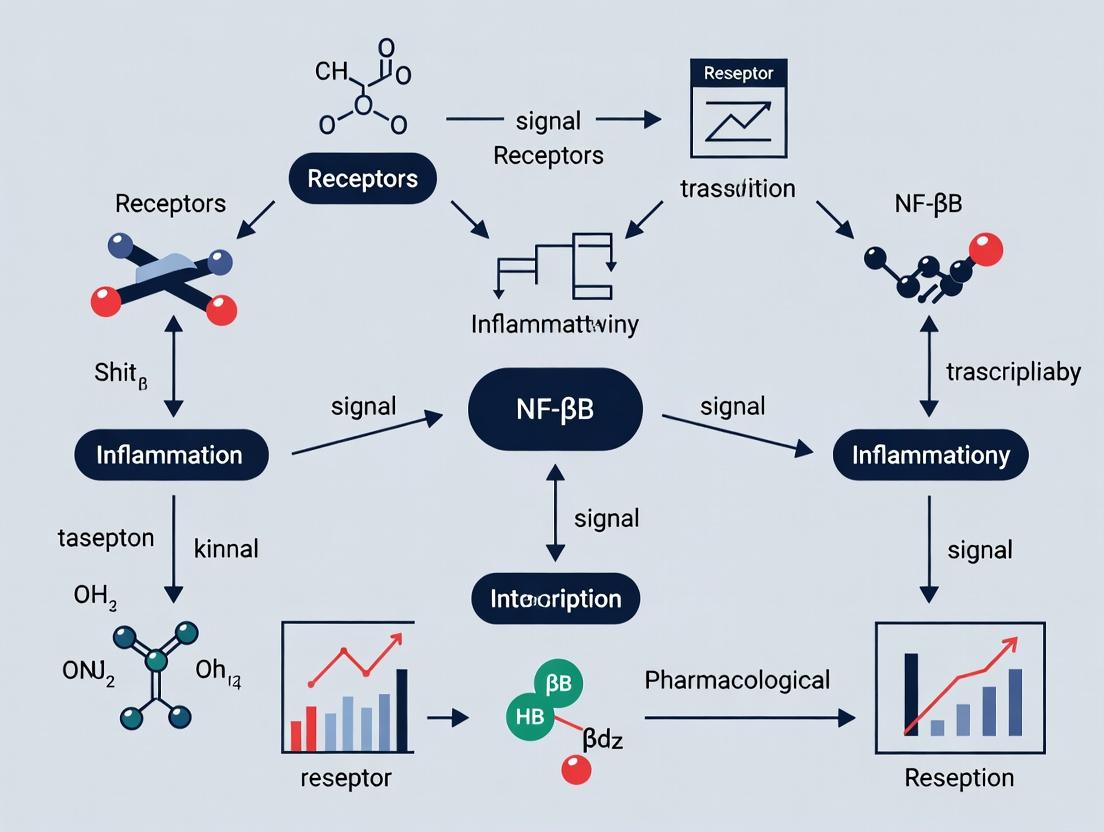 The NF-κB Pathway in Inflammation: A 2024 Review of Mechanisms, Drug Targets, and Translational Research