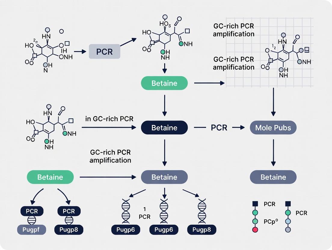 Unlocking Stubborn DNA: The Complete Guide to Using Betaine for GC-Rich PCR Success