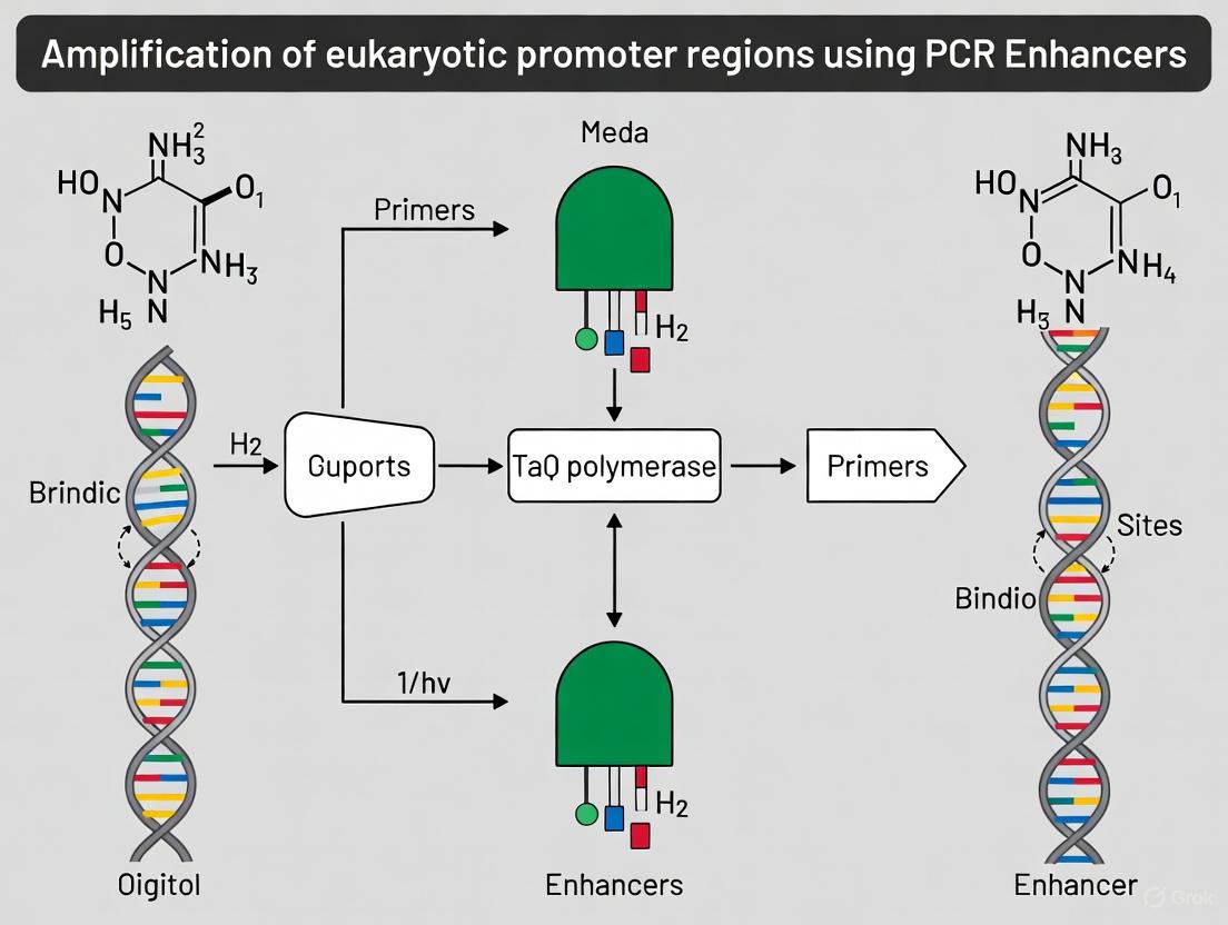 Enhancing Eukaryotic Promoter Amplification: A Guide to PCR Enhancers for Biomedical Research