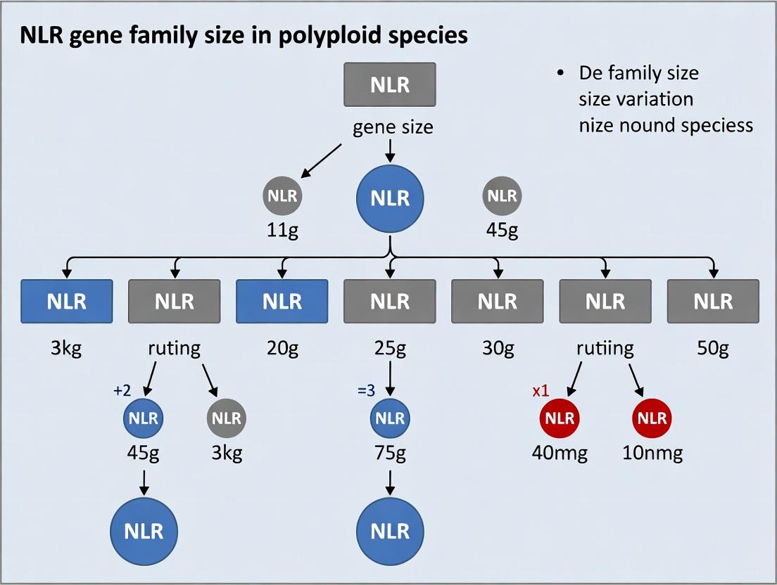 Genomic Multiplicity and Immune Adaptation: NLR Gene Family Expansion in Polyploid Organisms and Its Biomedical Implications