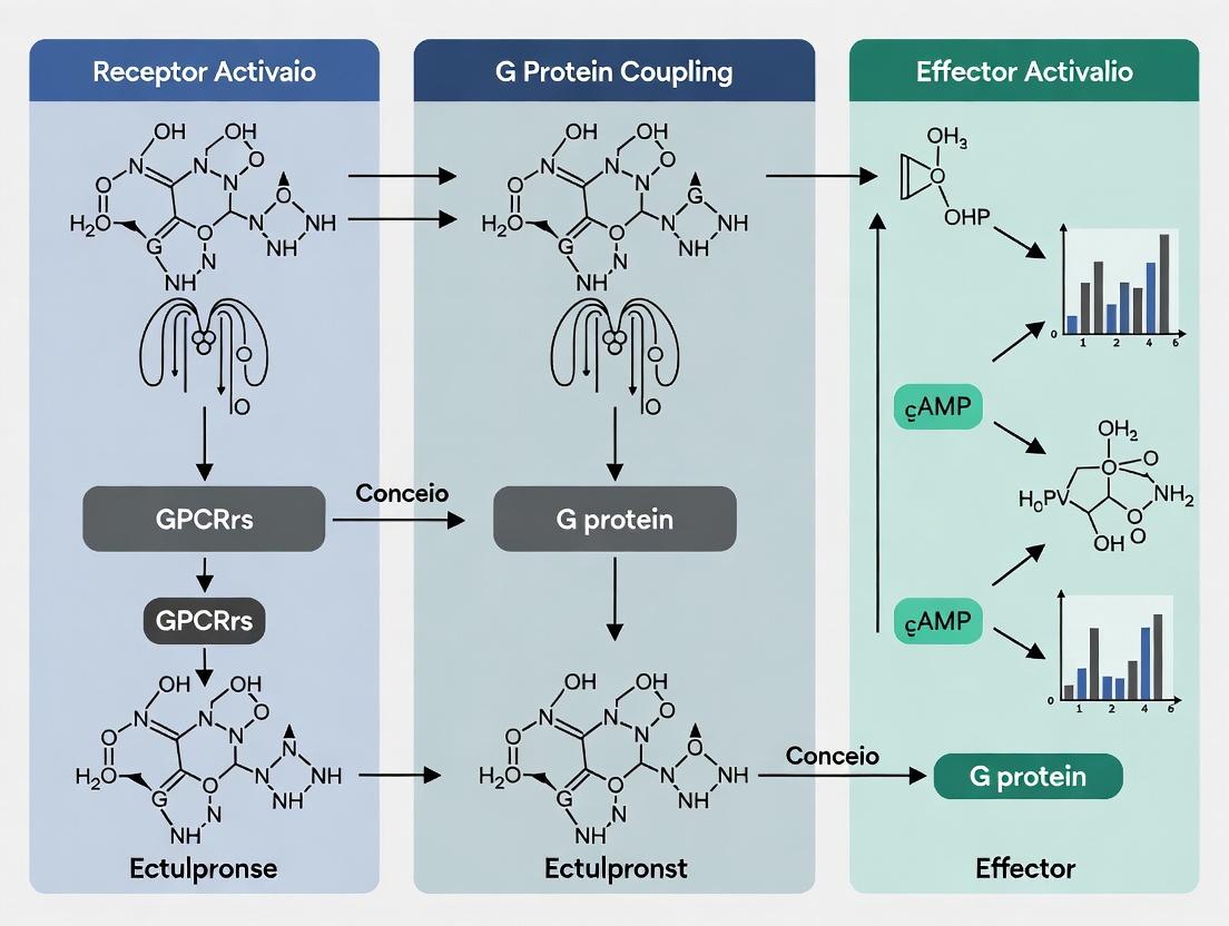 Decoding GPCR Signaling: From Molecular Mechanisms to Modern Drug Discovery