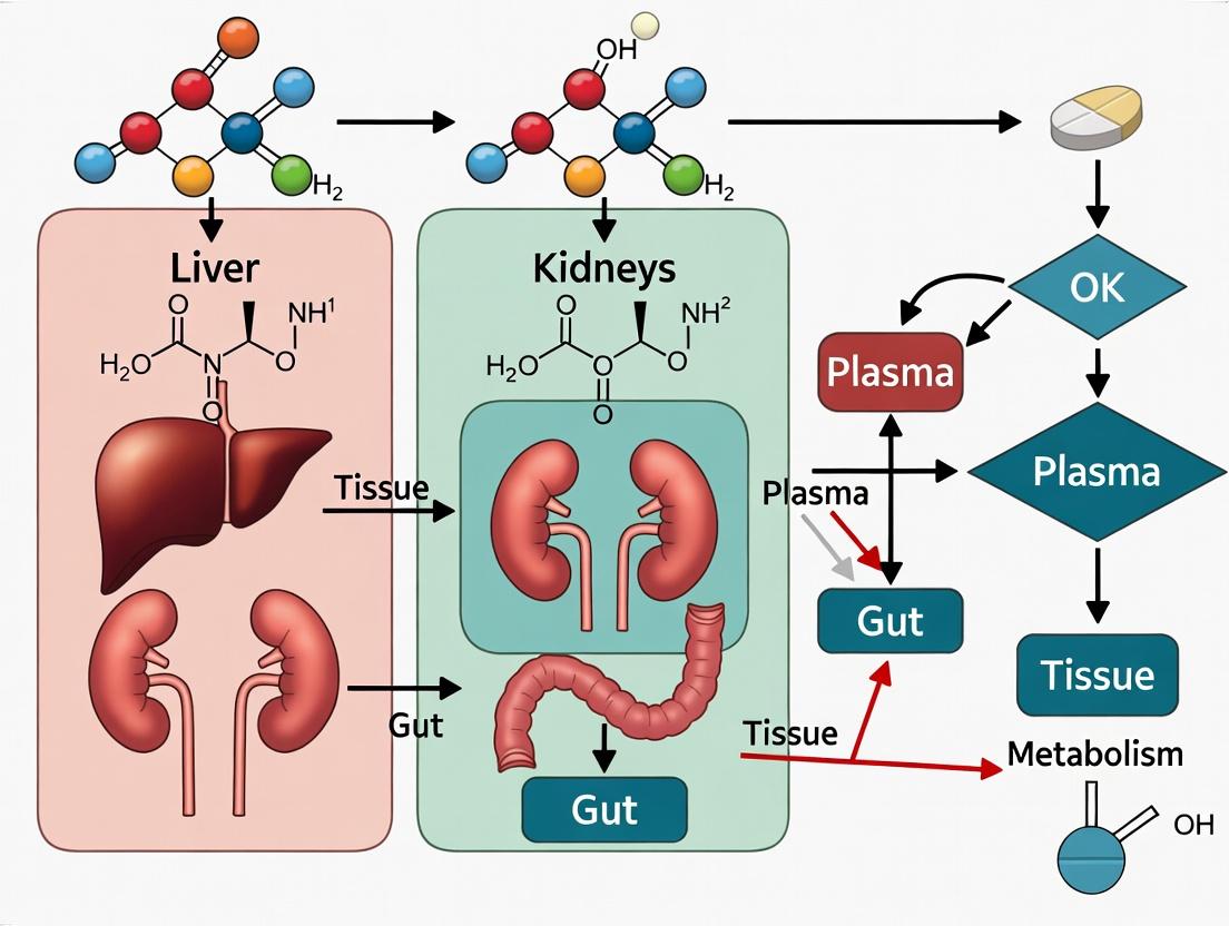 Predicting DDIs in Anti-Infective Therapy: A Comprehensive Guide to PBPK Modeling Strategies