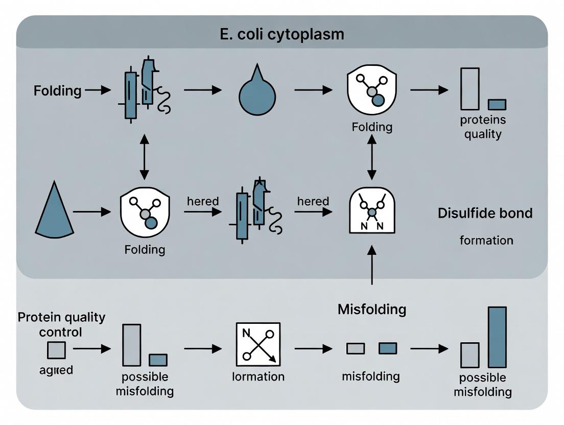 Unlocking Complex Biologics: Strategies for Robust Disulfide Bond Formation in E. coli Cytoplasm