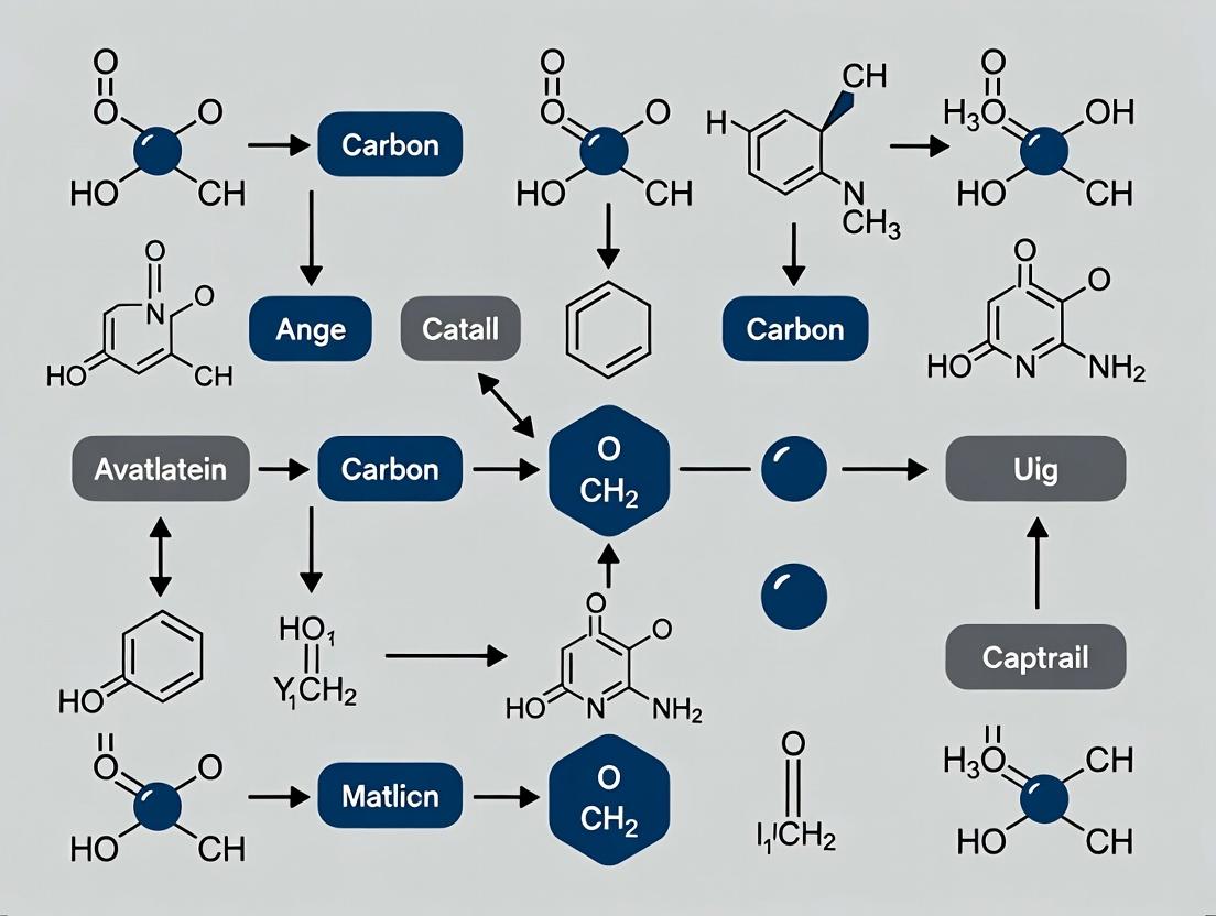 Assessing Environmental Footprint: A Comprehensive Life Cycle Assessment (LCA) of Activated Carbon Production for Catalyst Supports in Pharmaceutical Research
