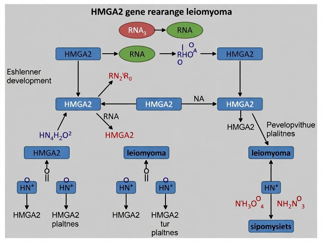 HMGA2 Gene Rearrangement in Uterine Leiomyoma Development: Mechanisms, Detection Methods, and Therapeutic Implications