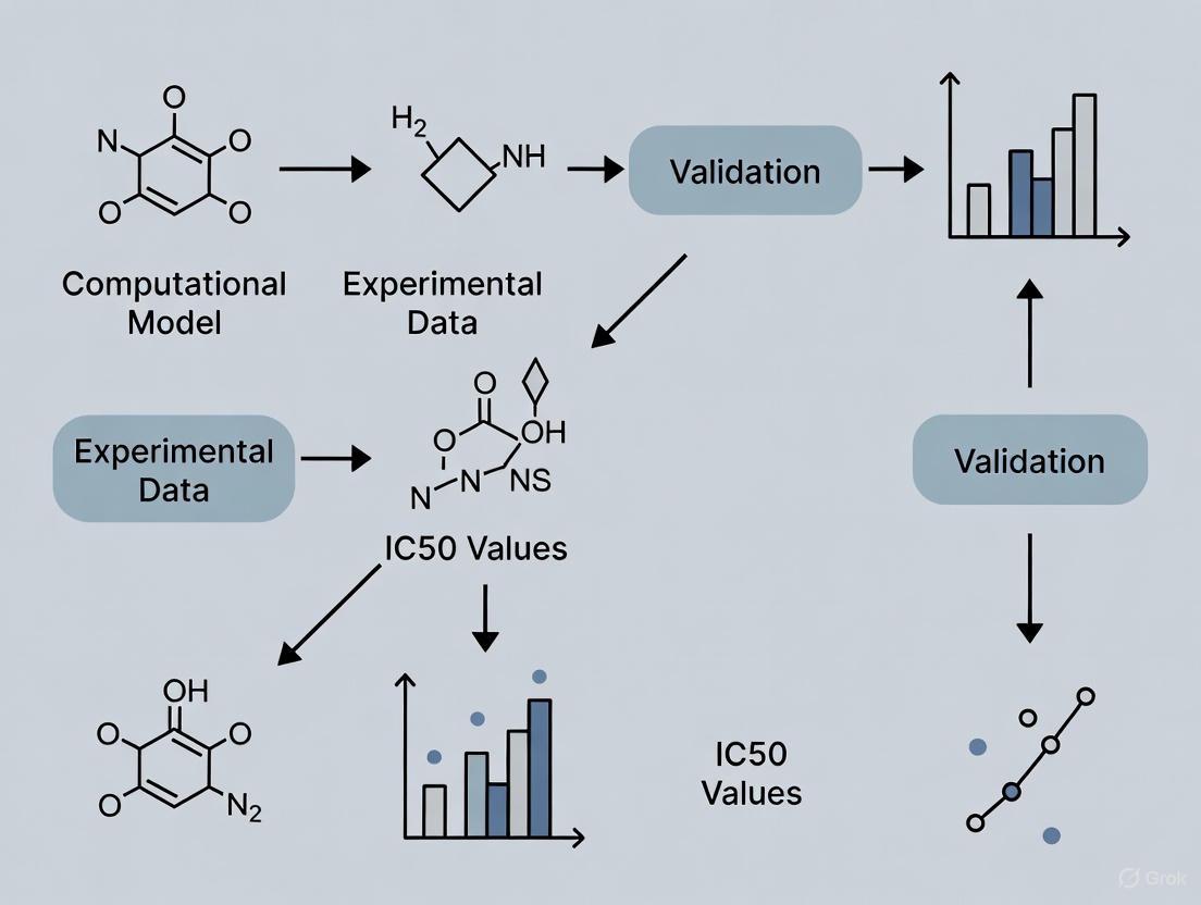 From In Silico to In Vitro: A Practical Guide to Validating Computational Drug Predictions with Experimental IC50 Data