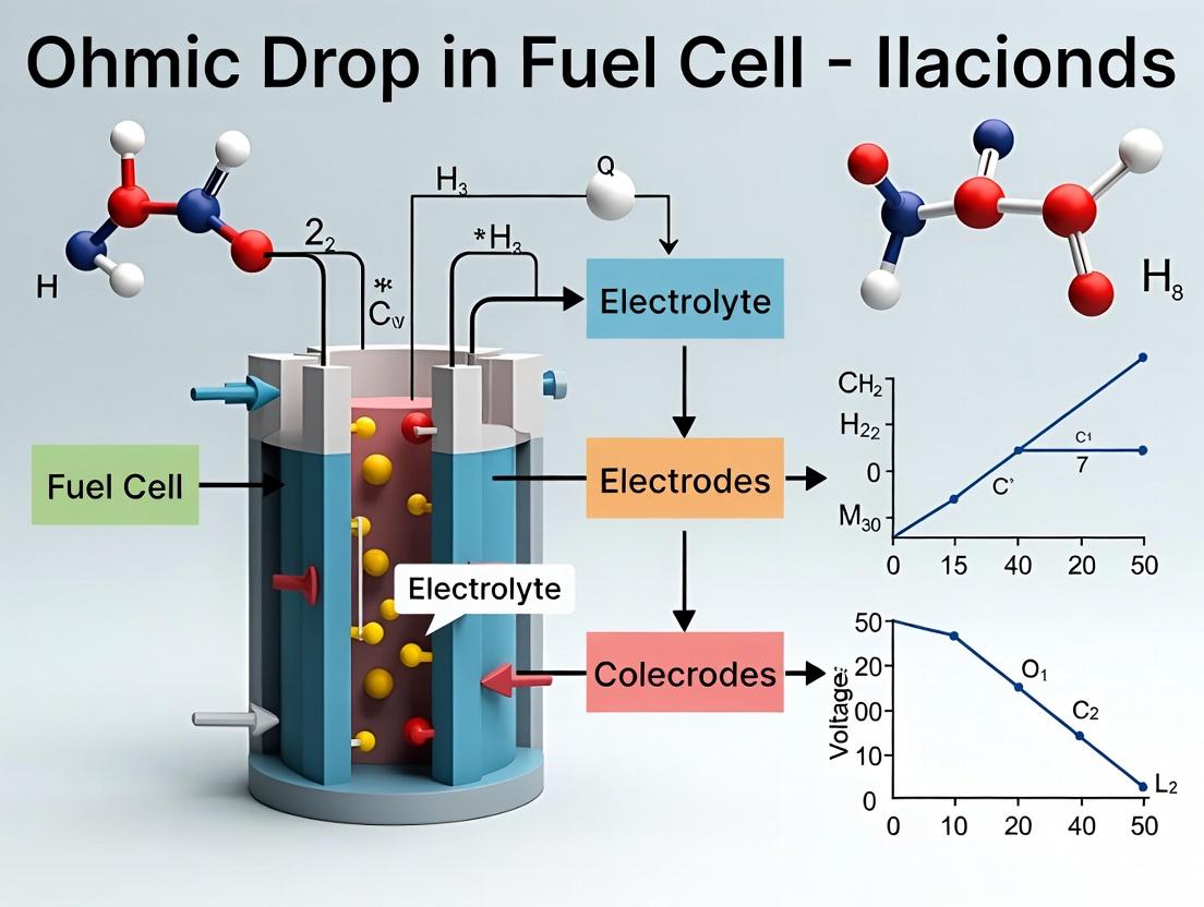 Ohmic Drop in Fuel Cells: Measurement, Analysis, and Mitigation Strategies for Researchers
