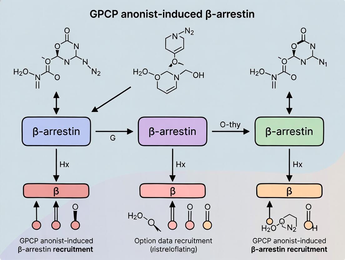 Beyond G Proteins: The Critical Role of β-Arrestin Recruitment in GPCR Signaling and Biased Agonism for Modern Drug Discovery
