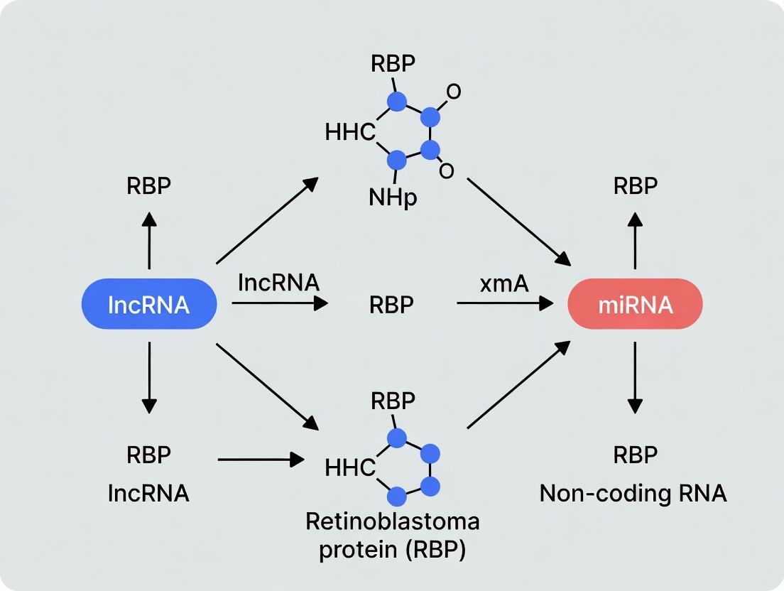 Decoding RNA Biology: A Comprehensive Guide to RBP Interactions with lncRNAs and miRNAs