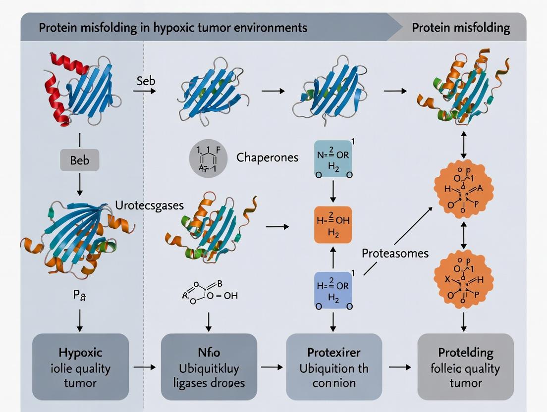 Targeting Protein Misfolding in Hypoxic Tumors: Mechanisms, Therapeutic Strategies, and Clinical Implications