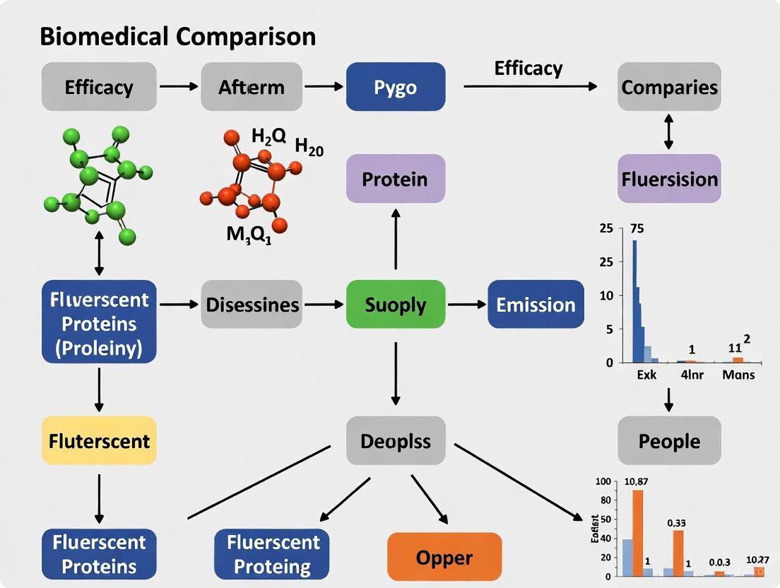 Fluorescent Proteins in Biomedicine: A 2025 Guide to Efficacy, Selection, and Advanced Applications
