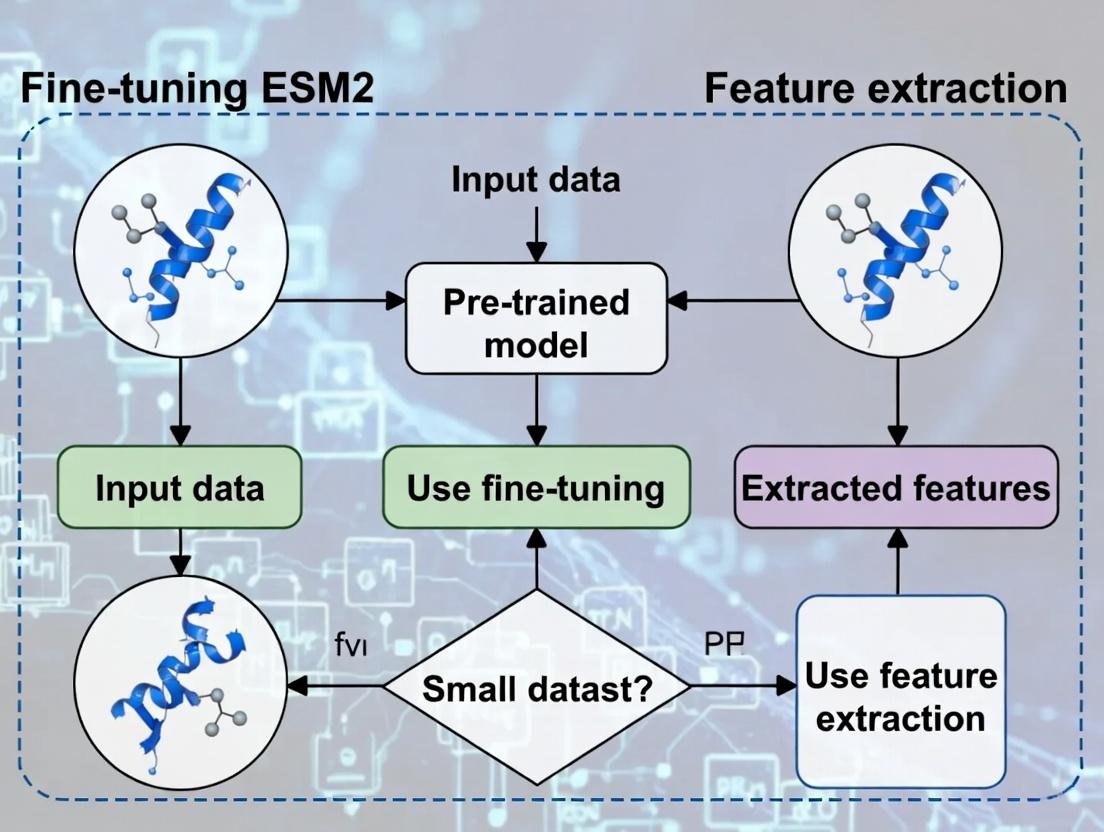 Small Data, Big Impact: Fine-tuning ESM-2 vs Feature Extraction for Protein Engineering