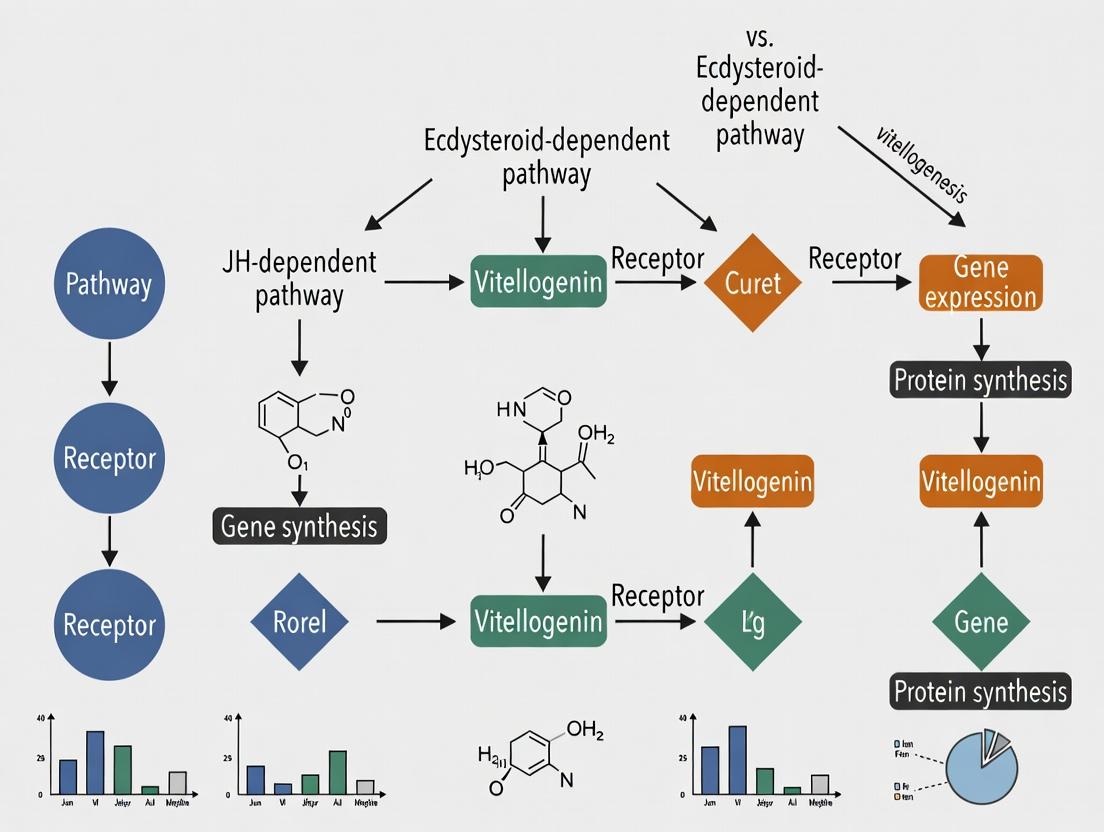 JH vs. Ecdysteroid Control of Vitellogenesis: Molecular Mechanisms, Research Methods, and Biomedical Implications
