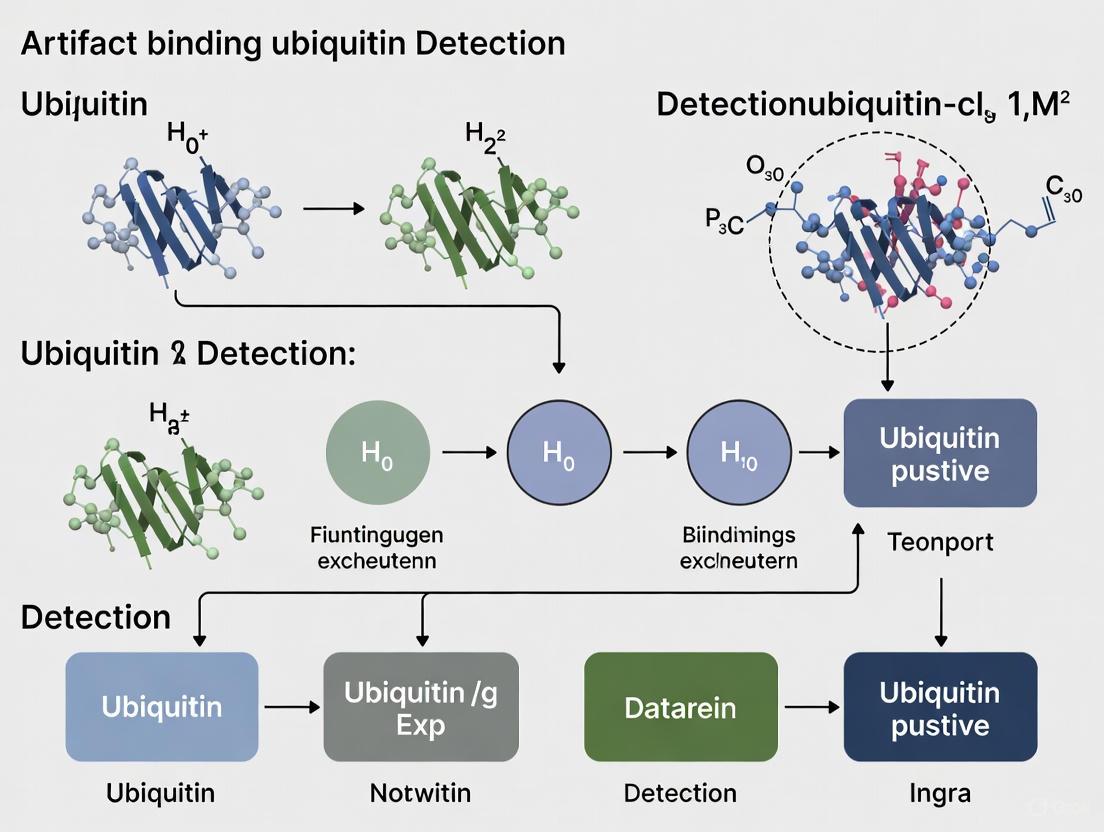 Bridging the Gap: A Researcher's Guide to Artifacts in Ubiquitin Detection and Validation