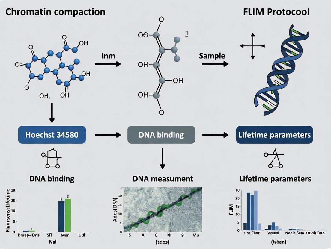 Measuring Chromatin Dynamics: A Complete FLIM Protocol with Hoechst 34580 for Quantifying DNA Compaction