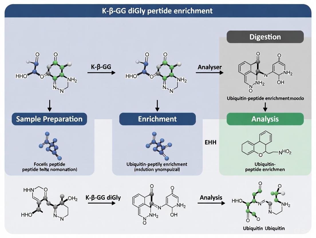 Advanced K-ε-GG DiGly Peptide Enrichment Protocol: A Comprehensive Guide for Deep Ubiquitinome Analysis
