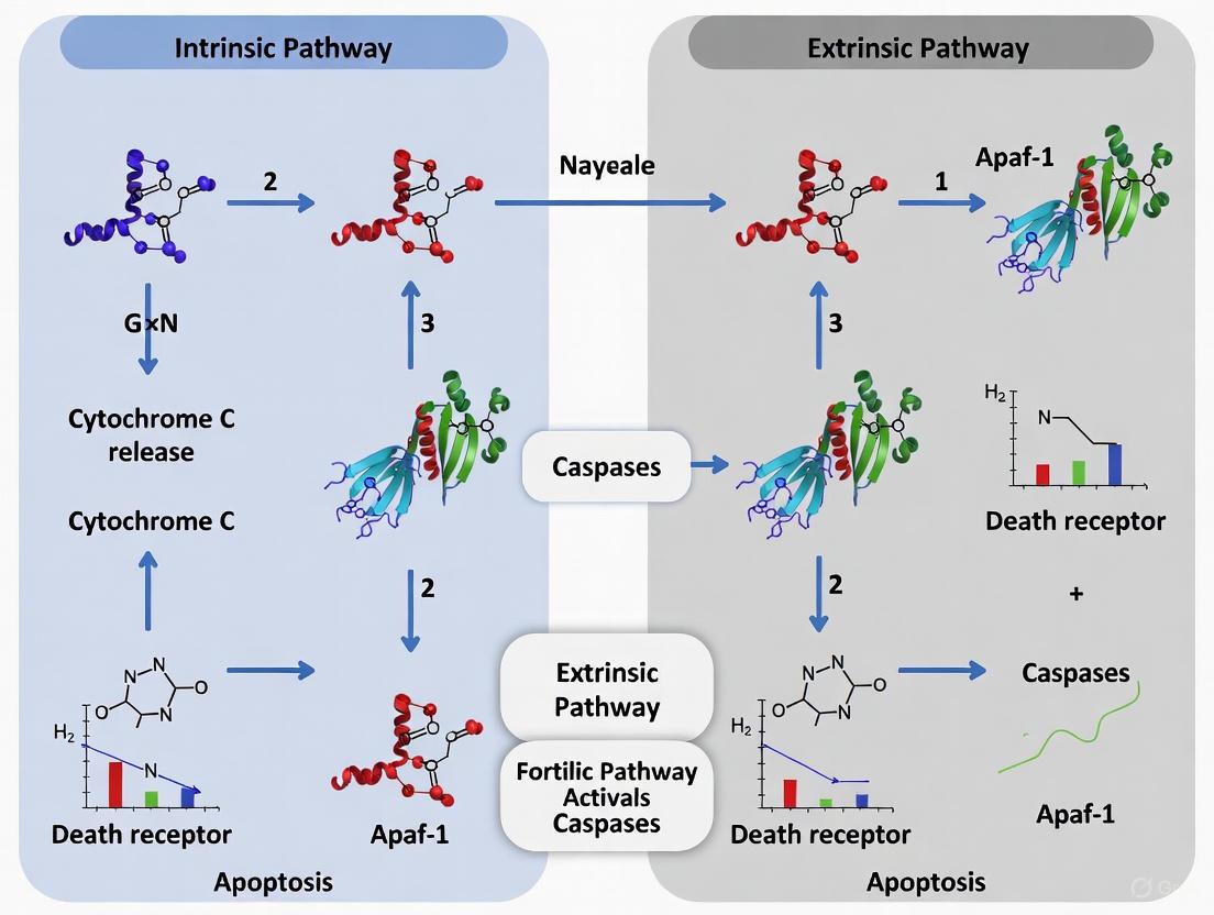 Intrinsic vs. Extrinsic Pathway Biomarkers: From Mechanisms to Clinical Applications