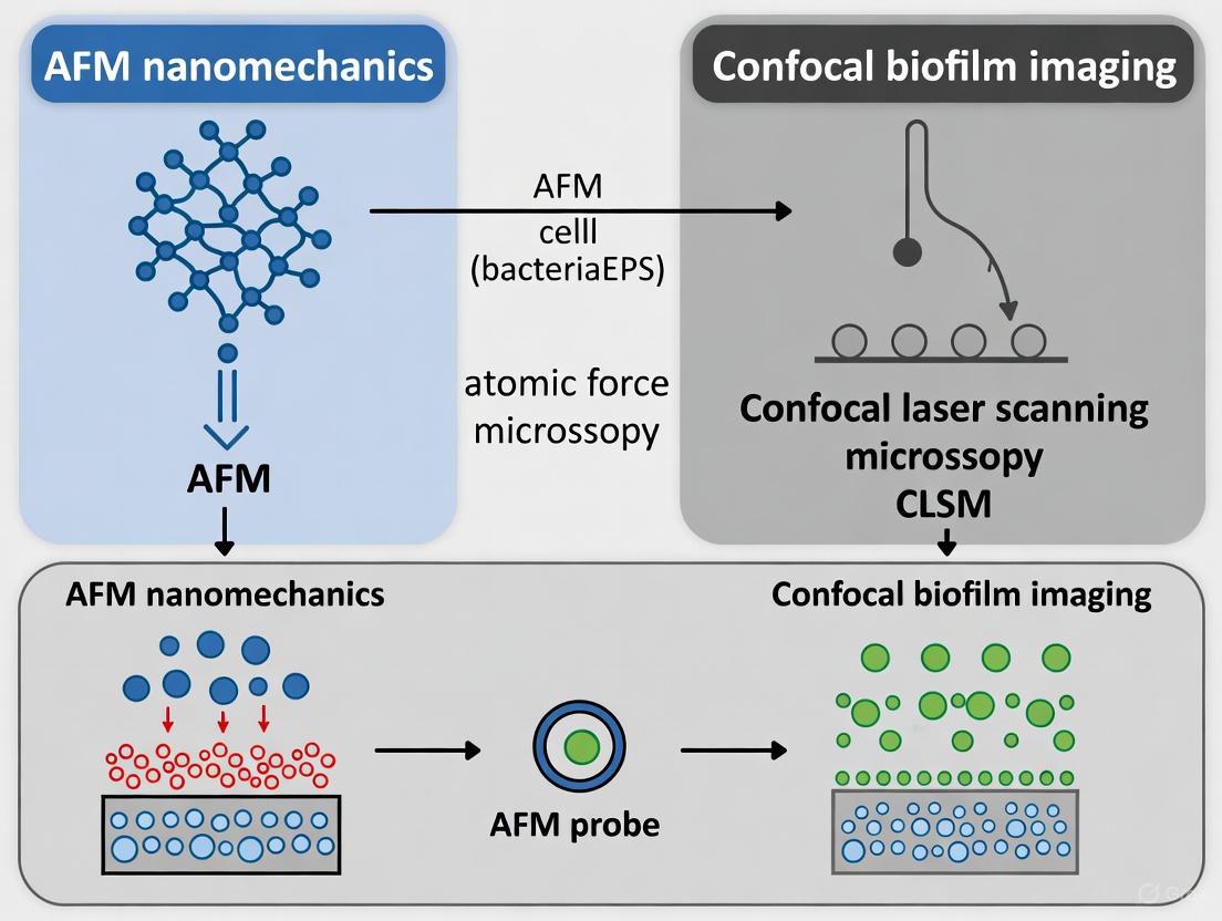 Correlative AFM-Confocal Microscopy: A Multimodal Framework for Biofilm Nanomechanics and 3D Architecture