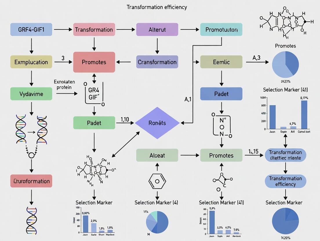Optimized Protocol: Enhancing Wheat Transformation Efficiency with GRF4-GIF1 Fusion Protein Technology