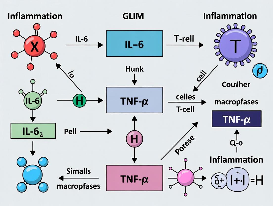 From Consensus to Consistency: A Practical Guide to Implementing GLIM Criteria Inter-Rater Reliability in Research & Drug Development