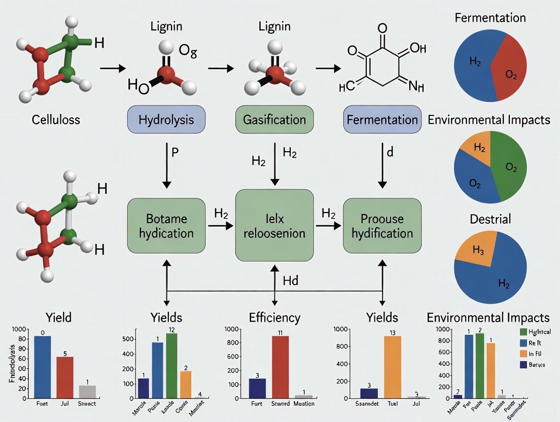 Biomass to Hydrogen: A Comparative Analysis of Production Methods, Costs, and Future Outlook