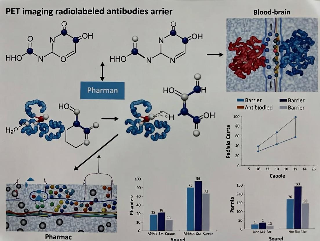 Beyond the Barrier: Radiolabeled Antibodies in PET Imaging of the Central Nervous System