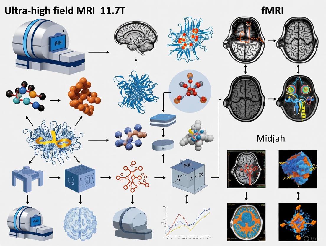 11.7T Ultra-High Field MRI: A New Frontier in Neuroscience Research and Drug Development