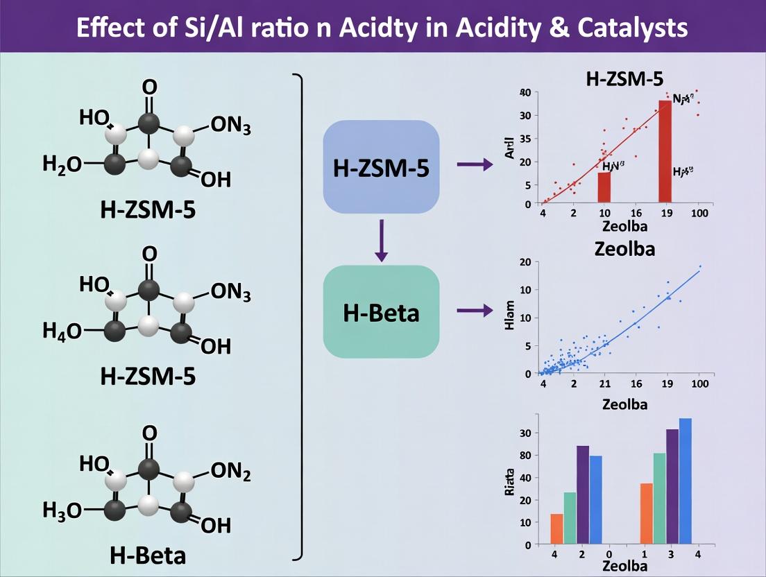 Si/Al Ratio Effects on Acidity: A Comprehensive Guide to H-ZSM-5 and H-Beta Zeolites for Advanced Catalysis and Biomedical Applications
